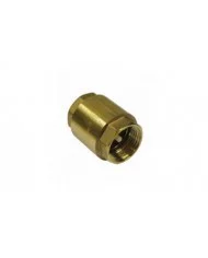 Clapet de non-retour 1 - Master Pumps MASTER PUMPS - MPCNR4 : Acce...