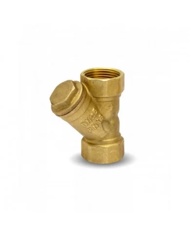 Préfiltre incliné 1'' - Master Pumps MASTER PUMPS - MPY4 : Accesso...