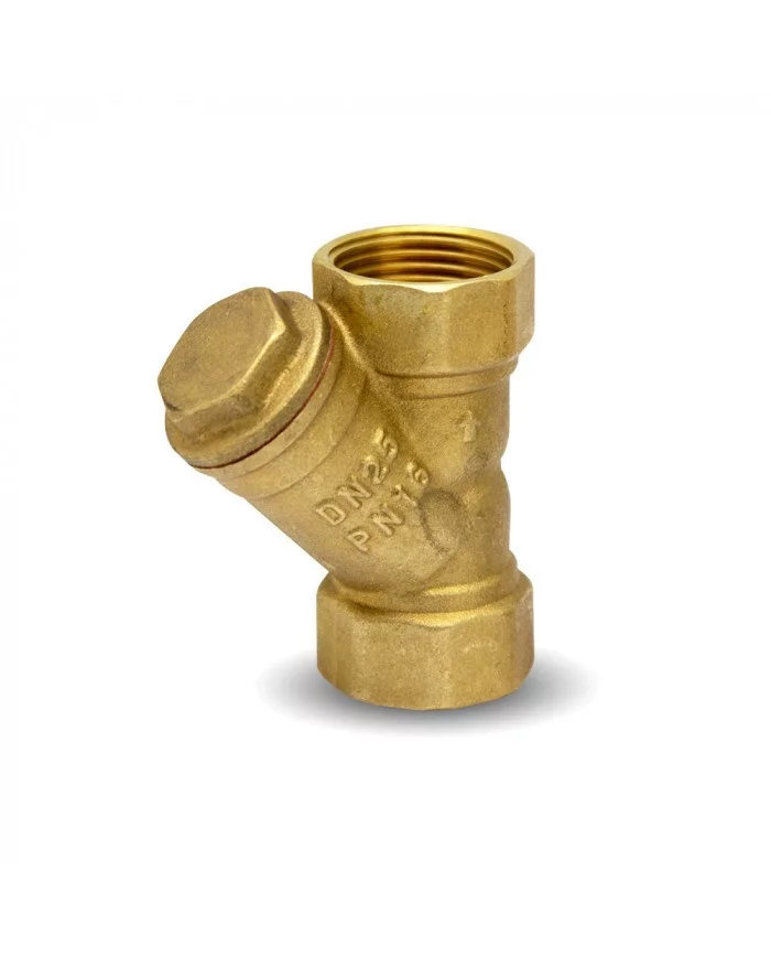 Préfiltre incliné 1'' - Master Pumps MASTER PUMPS - MPY4 : Accesso...