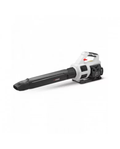 Souffleur rechargeable 2x20 V max avec fonction turbo livré sans ba...