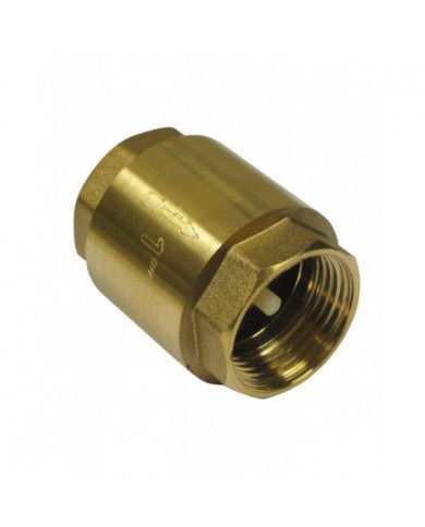 Clapet de non-retour 1 - Master Pumps MASTER PUMPS -  MPCNR4 : Acce...