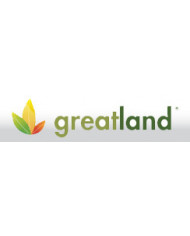 Greatland Black edition